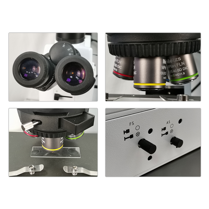 Microscope droit de niveau recherche ML9000